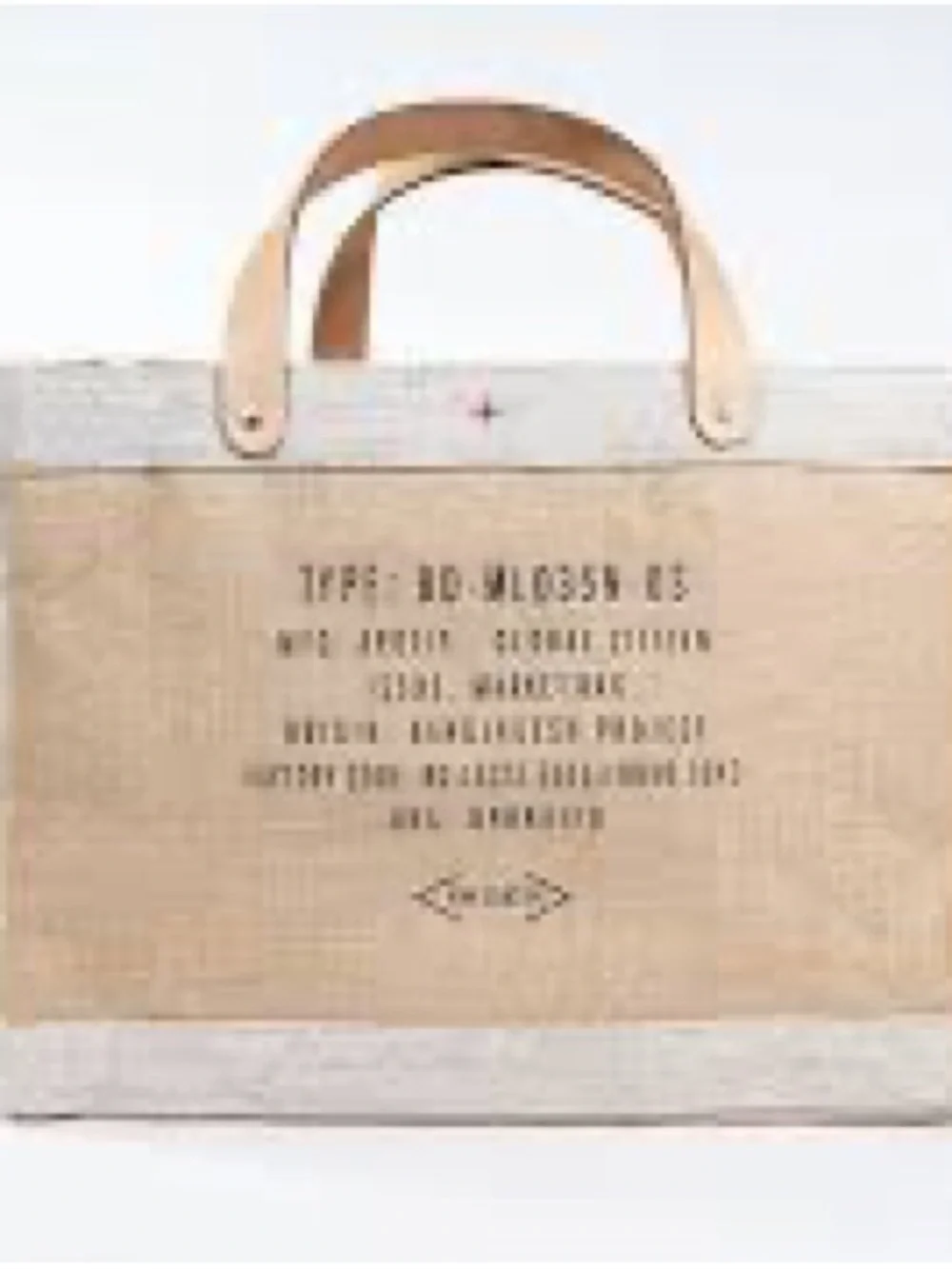 Apolis Tan Canvas Market Tote with Leather Handles